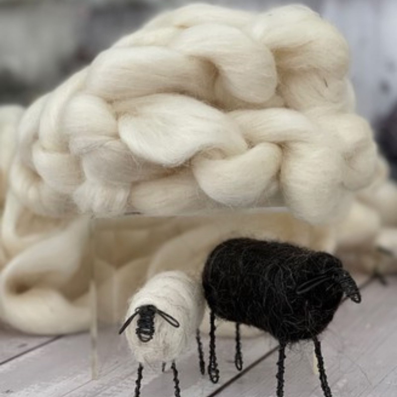 Allaray Lincoln Heritage Breed Lincoln Sliver  