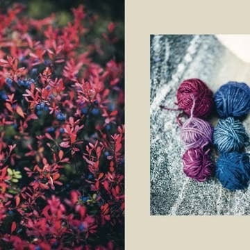 Arctic Knitting, The Magic of Nature and Colourwork