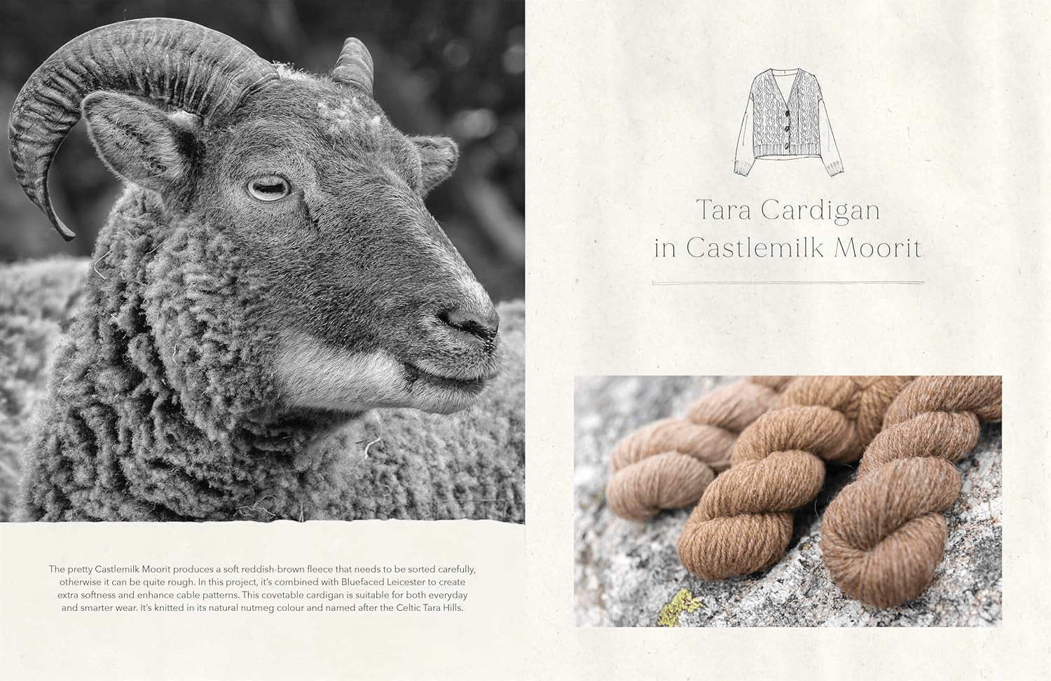 The Wonder of Wool - A Knitter's Guide to pure breed sheep