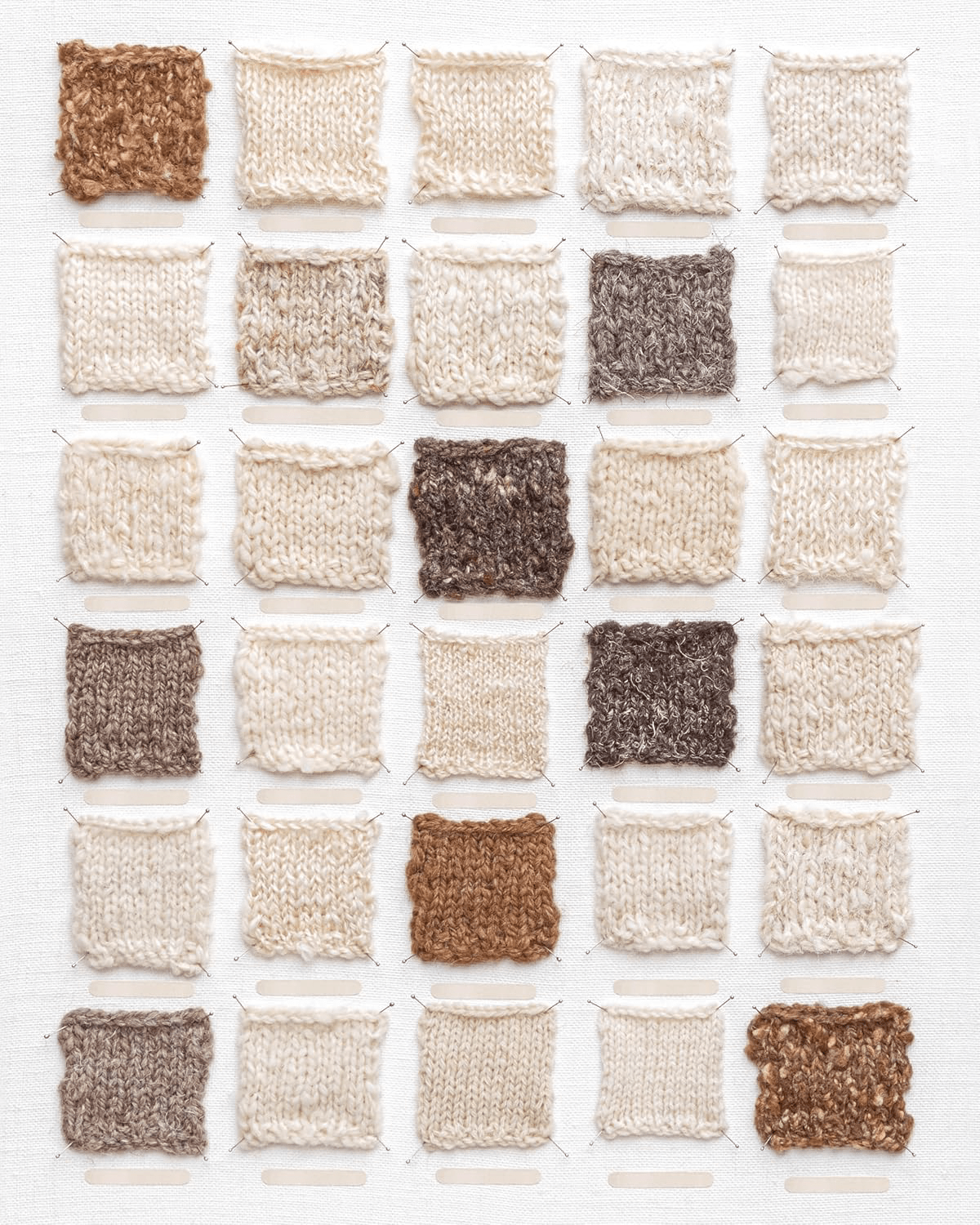The Wonder of Wool - A Knitter's Guide to pure breed sheep