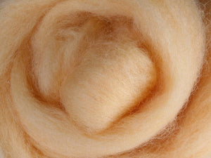 Ashford - Corriedale Dyed Sliver