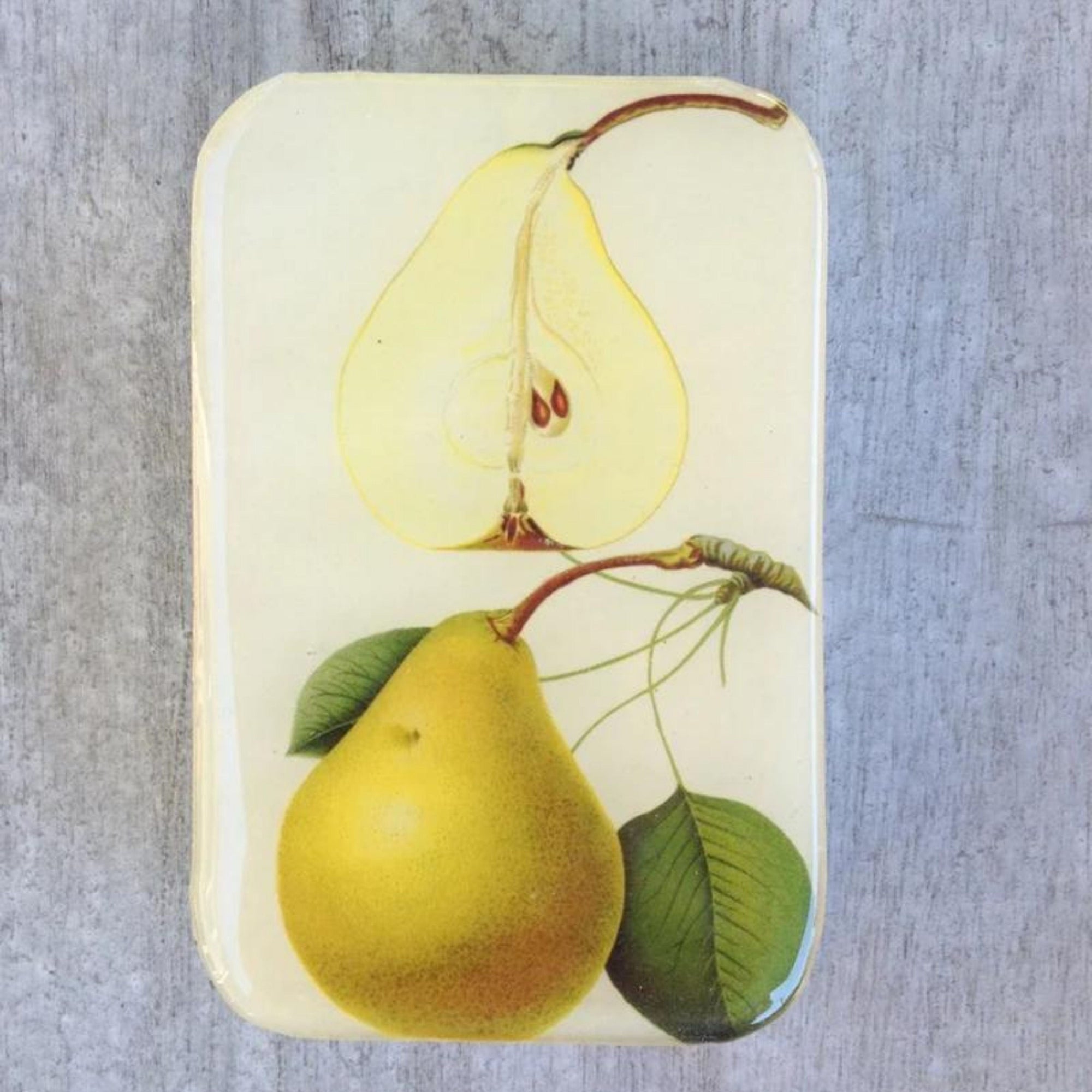 Firefly Notes Stitch Marker Tins Botanical Pear Small
