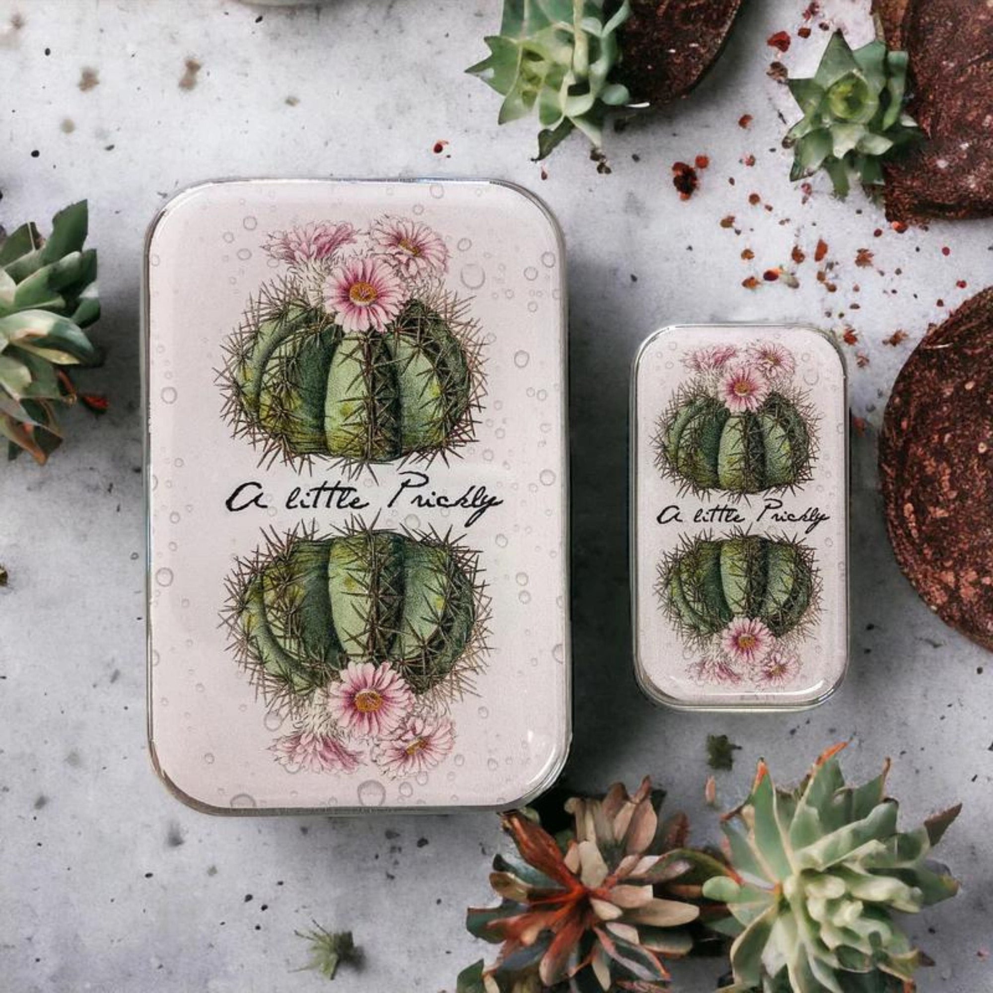 Firefly Notes Stitch Marker Tins Cactus Small