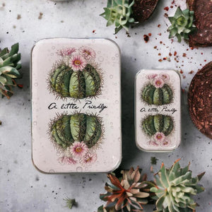 Firefly Notes Stitch Marker Tins Cactus Small