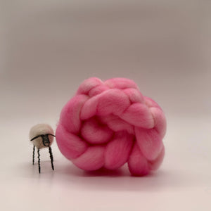 Hand dyed Cloverleaf Corriedale - On the Ply