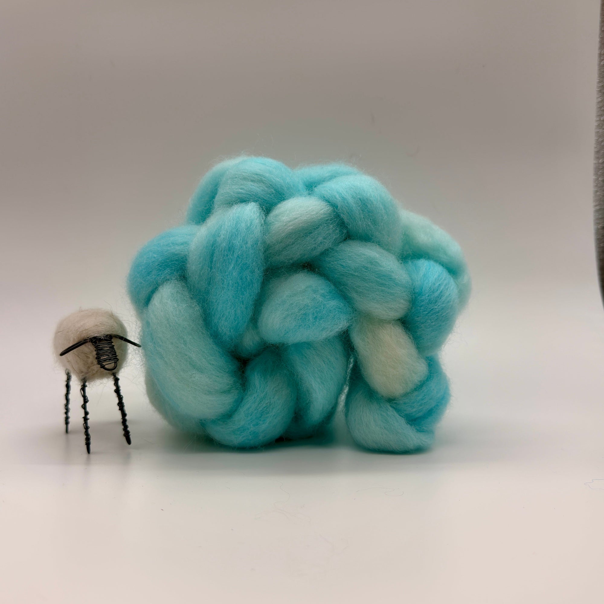 Hand dyed Cloverleaf Corriedale - On the Ply