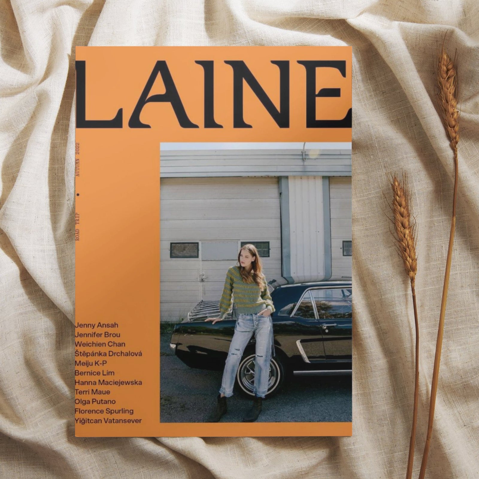 Laine Magazine - Issue 15 Colour
