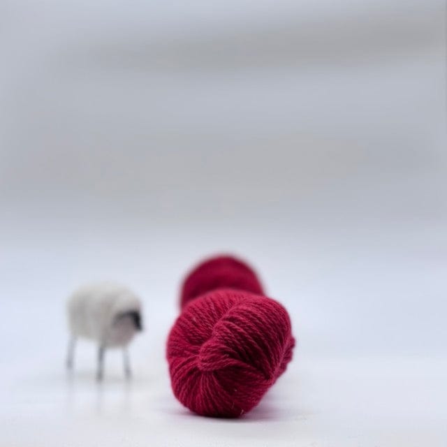 The Lucky Ewe La Bella