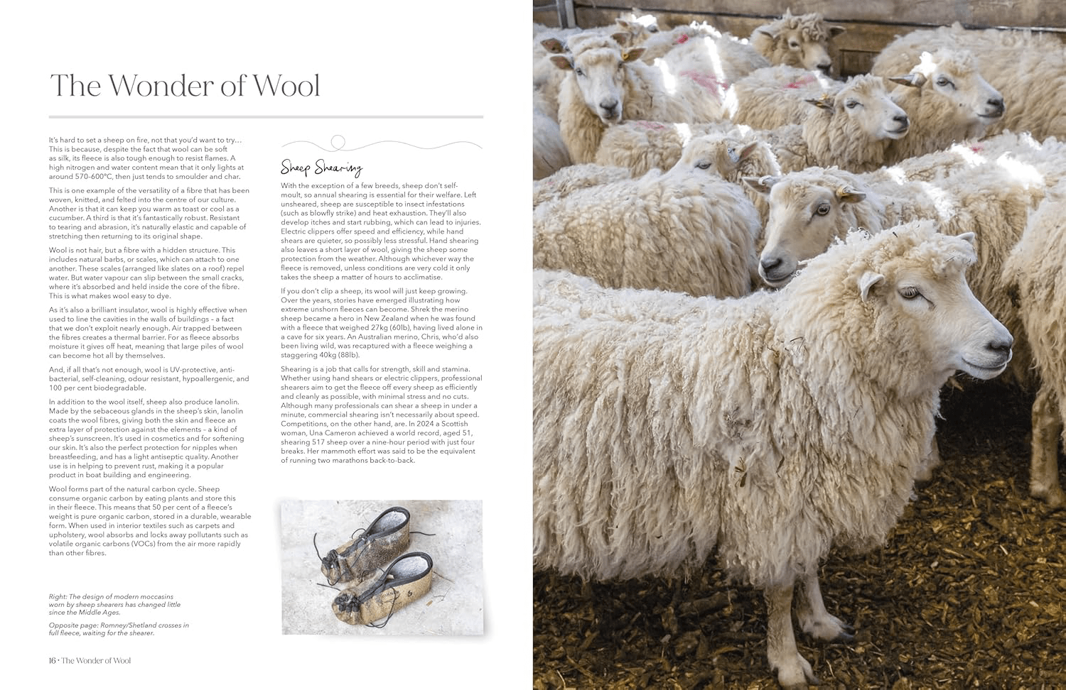 The Wonder of Wool - A Knitter's Guide to pure breed sheep